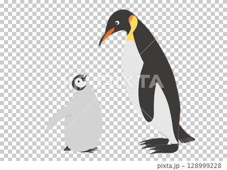 帝王企鵝和它們的孩子麵對面的插圖 帝王企鵝和它們的孩子麵對面的插圖 128999228