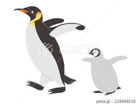 歩くコウテイペンギンの親子のイラスト 128999230