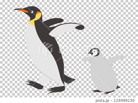 歩くコウテイペンギンの親子のイラスト 128999230