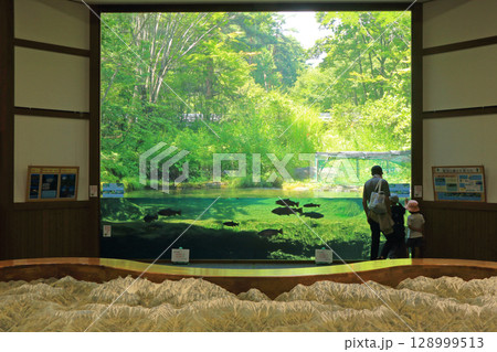 国営アルプスあづみの公園 あづみの学校玄関ホール 国営アルプスあづみの公園 あづみの学校玄関ホール 128999513