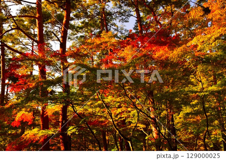 山梨県　昇仙峡 129000025