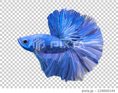 ベタ（ブルー） 129000144