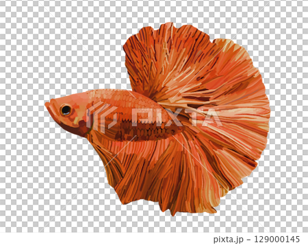 鬥魚(紅色) 鬥魚(紅色) 129000145