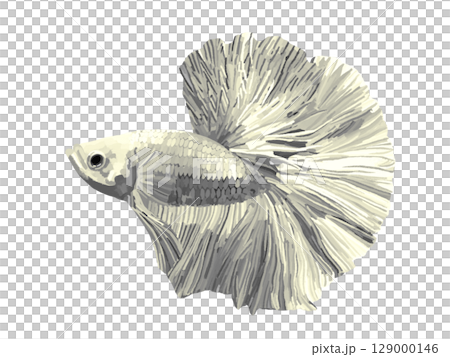 Betta (White) 129000146