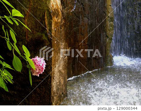 けいはんな記念公園の巨石群に落ちる滝と紫陽花 129000344
