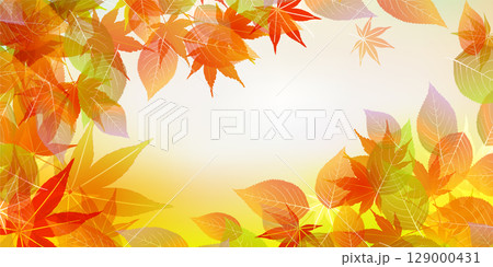 紅葉　もみじ　秋　背景	 129000431