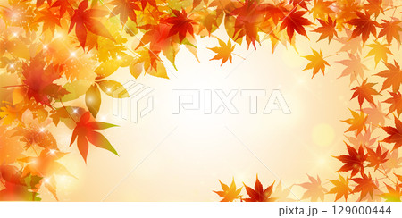紅葉　もみじ　秋　背景	 129000444
