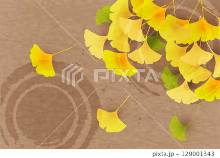 紅葉　イチョウ　秋　背景	 129001343