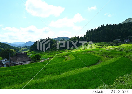 美しい棚田の風景 美しい棚田の風景 129001528