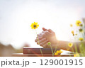 Christian praying with both hands together on the holy bible, beautiful sunny church with yellow flower field background 129001915