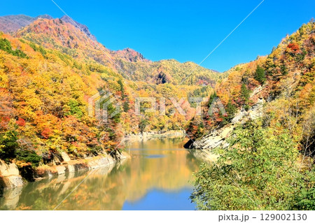 奥裾花ダムの紅葉 奥裾花ダムの紅葉 129002130