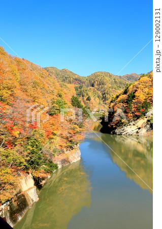 奥裾花ダムの紅葉 奥裾花ダムの紅葉 129002131