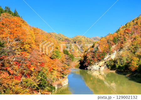 奥裾花ダムの紅葉 129002132