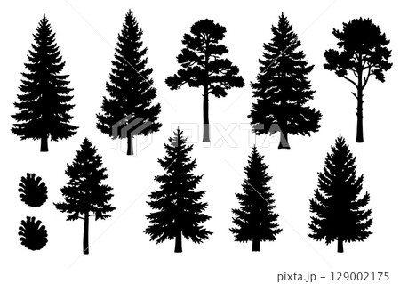 Black silhouette pine tree collection. Vector illustration. Black silhouette pine tree collection. Vector illustration. 129002175