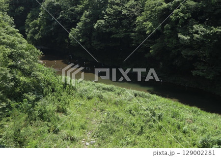 秋川渓谷 129002281