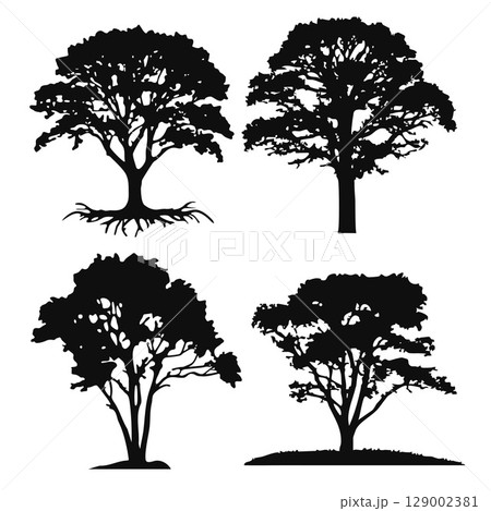 Collection of Detailed Tree Silhouettes. Collection of Detailed Tree Silhouettes. 129002381
