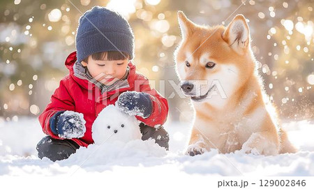 雪だるま作りを見守る優しい柴犬と子供 129002846