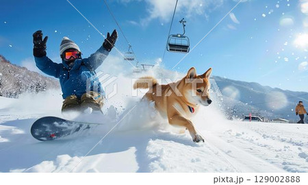 雪山でスノーボーダーと遊ぶ柴犬のアクティブショット 129002888