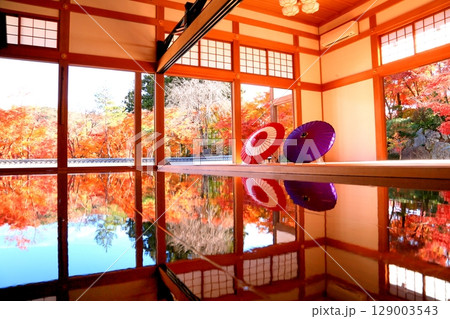 宝徳寺の床もみじ 129003543