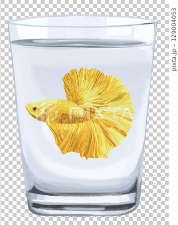 コップに入ったベタ(イエロー) コップに入ったベタ(イエロー) 129004053