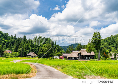 《新潟県》夏の日本の原風景・荻ノ島かやぶきの里 129004481
