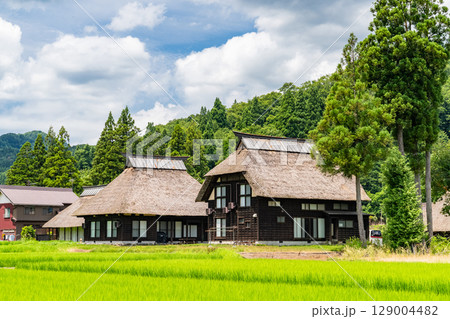 《新潟県》夏の日本の原風景・荻ノ島かやぶきの里 129004482