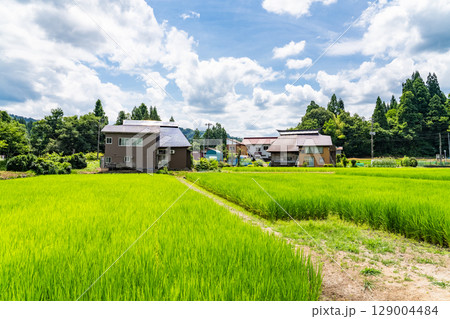 《新潟県》夏の日本の原風景・荻ノ島かやぶきの里 129004484