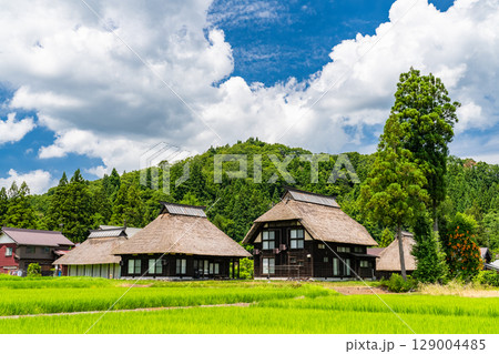 《新潟県》夏の日本の原風景・荻ノ島かやぶきの里 《新潟県》夏の日本の原風景・荻ノ島かやぶきの里 129004485