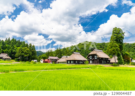 《新潟県》夏の日本の原風景・荻ノ島かやぶきの里 129004487
