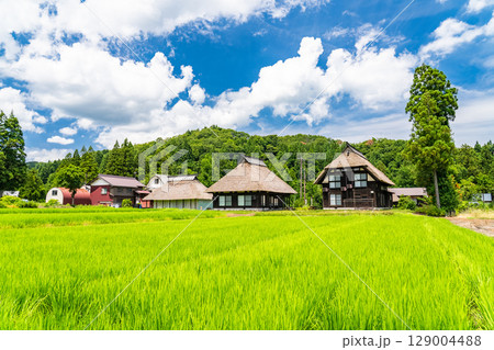 《新潟県》夏の日本の原風景・荻ノ島かやぶきの里 《新潟県》夏の日本の原風景・荻ノ島かやぶきの里 129004488