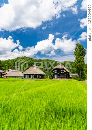 《新潟県》夏の日本の原風景・荻ノ島かやぶきの里 《新潟県》夏の日本の原風景・荻ノ島かやぶきの里 129004490