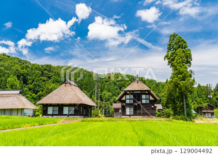 《新潟県》夏の日本の原風景・荻ノ島かやぶきの里 129004492