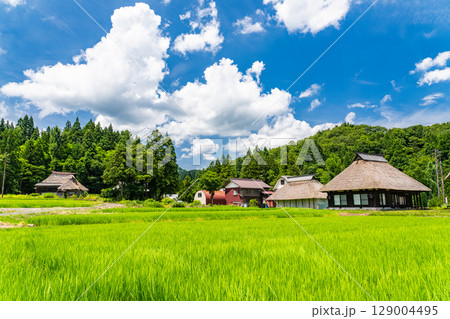《新潟県》夏の日本の原風景・荻ノ島かやぶきの里 《新潟県》夏の日本の原風景・荻ノ島かやぶきの里 129004495