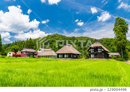 《新潟県》夏の日本の原風景・荻ノ島かやぶきの里 129004496