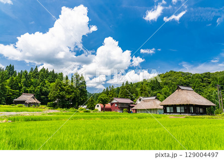 《新潟県》夏の日本の原風景・荻ノ島かやぶきの里 《新潟県》夏の日本の原風景・荻ノ島かやぶきの里 129004497