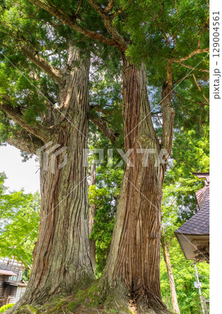《新潟県》日本の原風景・荻ノ島松尾神社 129004561