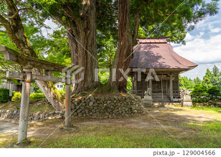 《新潟県》日本の原風景・荻ノ島松尾神社 129004566