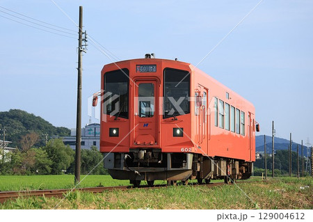 【長良川鉄道】ナガラ600形〜パーシモン美濃里号〜(越美南線:関市役所前〜関下有知) 【長良川鉄道】ナガラ600形〜パーシモン美濃里号〜(越美南線:関市役所前〜関下有知) 129004612