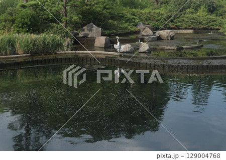 品川区民公園 129004768