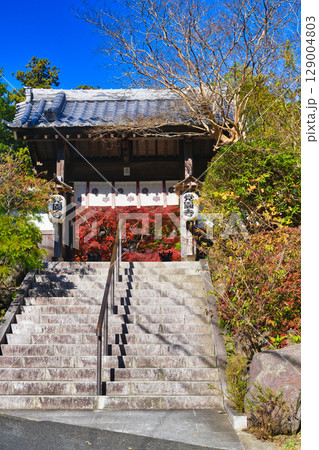 鎌倉 覚園寺の美しい紅葉(神奈川県鎌倉市) 鎌倉 覚園寺の美しい紅葉(神奈川県鎌倉市) 129004803