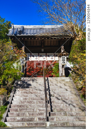 鎌倉 覚園寺の美しい紅葉(神奈川県鎌倉市) 鎌倉 覚園寺の美しい紅葉(神奈川県鎌倉市) 129004844