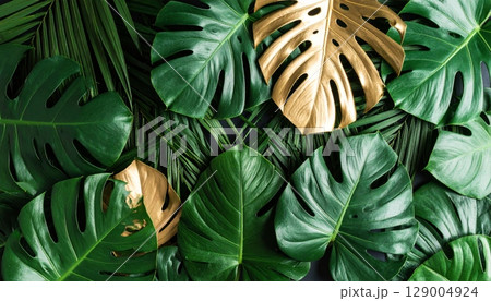 Vibrant green leaves form a natural frame, perfect for a summer or spring background 129004924