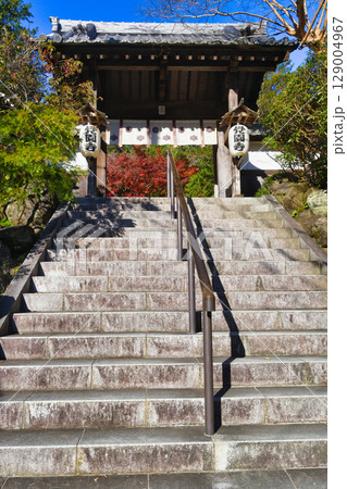 鎌倉 覚園寺の美しい紅葉（神奈川県鎌倉市） 129004967