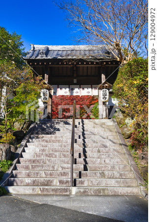 鎌倉 覚園寺の美しい紅葉(神奈川県鎌倉市) 鎌倉 覚園寺の美しい紅葉(神奈川県鎌倉市) 129004972