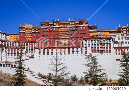 Potala palace in tibet China 129005039