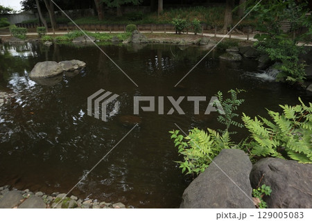 港区　芝公園 129005083