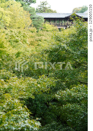 京都東福寺界隈の風景 京都東福寺界隈の風景 129005150