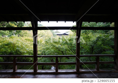 京都東福寺界隈の風景 京都東福寺界隈の風景 129005155