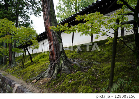 京都東福寺界隈の風景 京都東福寺界隈の風景 129005156