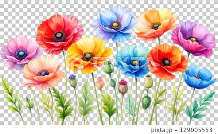 A colorful bouquet of red and yellow tulips blooming in a sunny spring garden 129005553